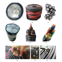 ខ្សែអគ្គិសនី